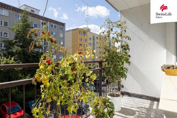 Prodej bytu 3+1, Děčín, Dvořákova, 73 m2