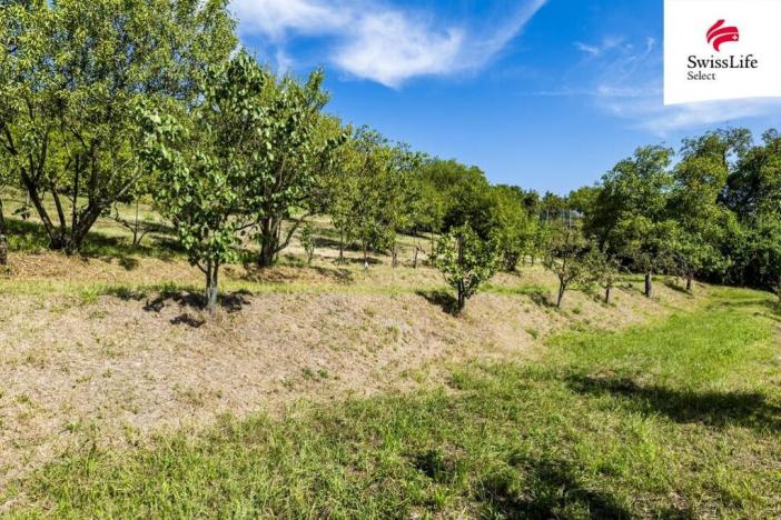 Prodej pozemku pro bydlení, Žalhostice, 3477 m2