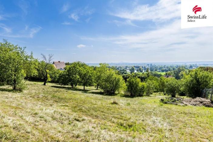 Prodej pozemku pro bydlení, Žalhostice, 3477 m2