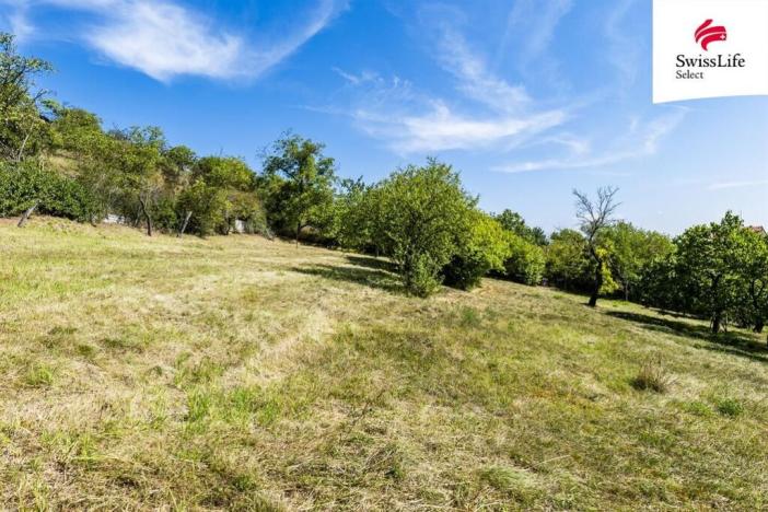 Prodej pozemku pro bydlení, Žalhostice, 3477 m2