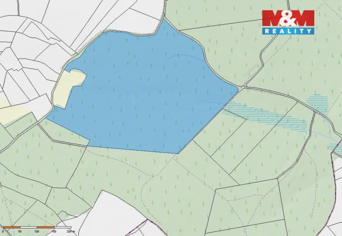 Prodej lesa, Milevsko - Klisín, 154293 m2