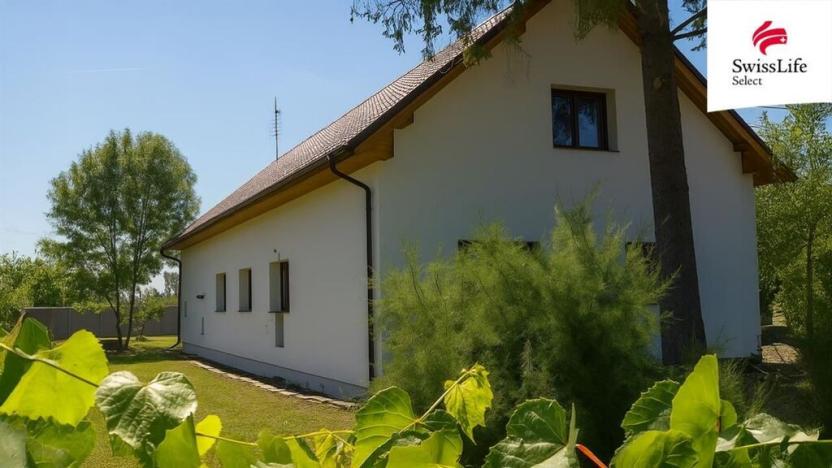 Prodej vícegeneračního domu, Hrušovany nad Jevišovkou, Drnholecká, 195 m2