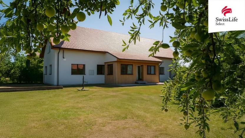 Prodej vícegeneračního domu, Hrušovany nad Jevišovkou, Drnholecká, 195 m2