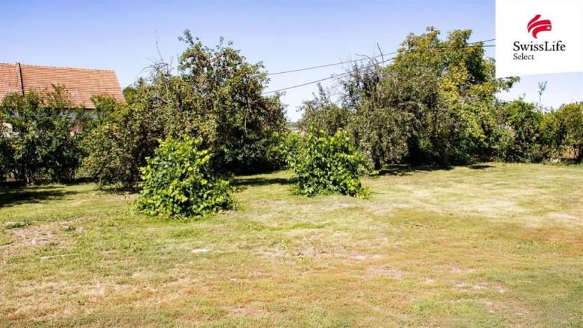 Prodej vícegeneračního domu, Hrušovany nad Jevišovkou, Drnholecká, 195 m2