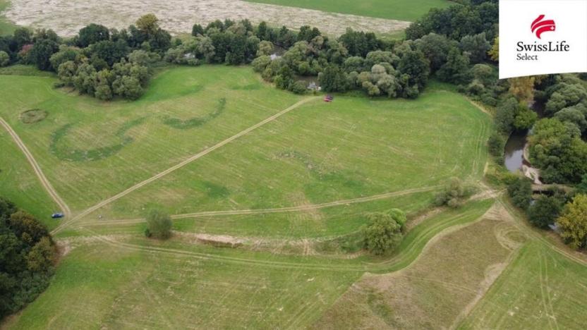 Prodej louky, Borohrádek, 25790 m2