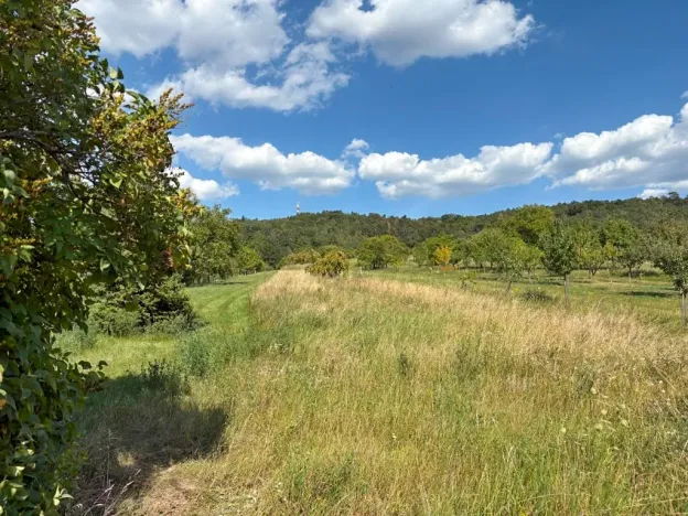 Prodej rodinného domu, Čebín, 250 m2