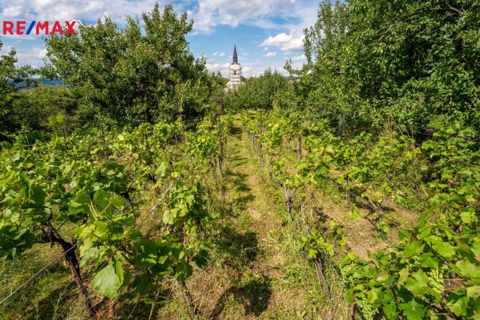 Prodej rodinného domu, Věteřov, 120 m2