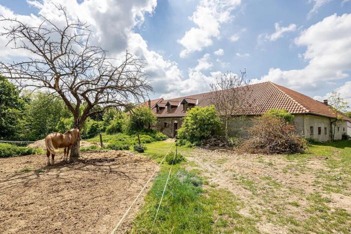 Prodej zemědělské usedlosti, Velká Bíteš, 850 m2