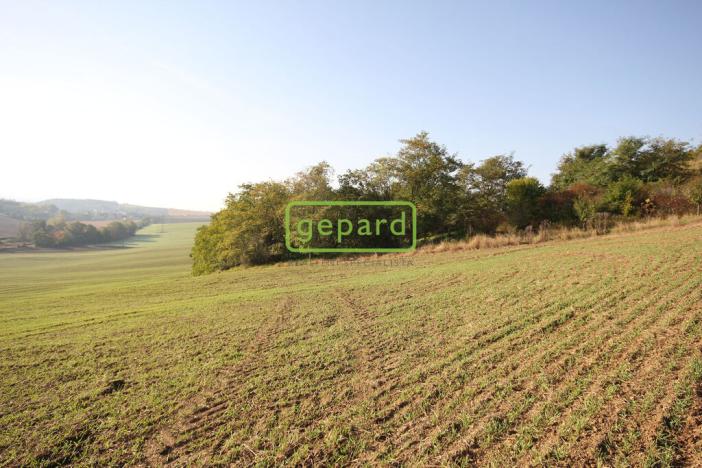 Prodej pozemku pro bydlení, Mokrá-Horákov - Horákov, 3885 m2