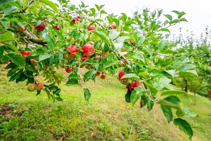 Prodej rodinného domu, Libčice nad Vltavou, Holubická, 56 m2