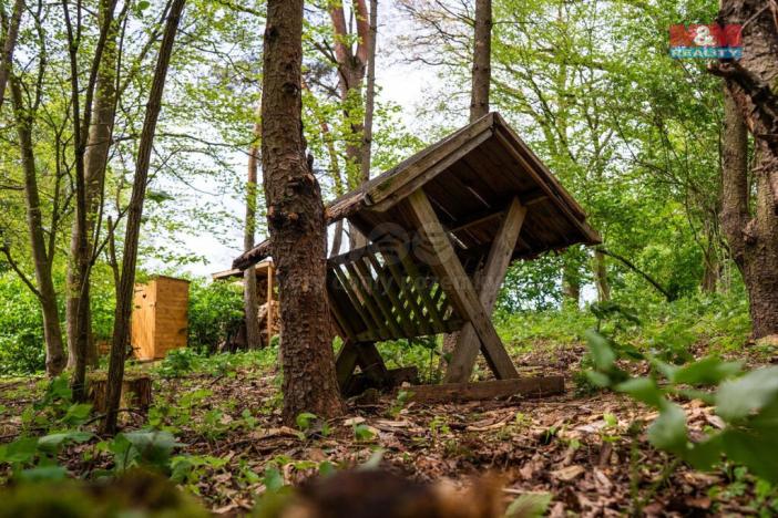 Prodej lesa, Borohrádek, 7342 m2