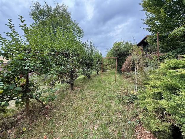 Prodej chaty, Nespeky, 50 m2