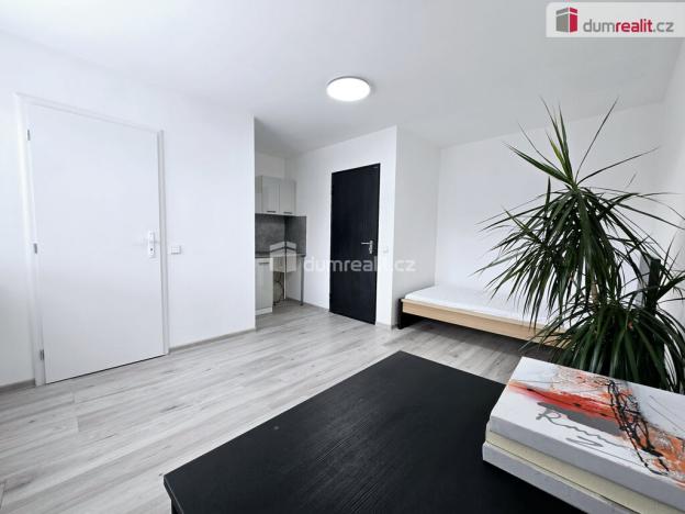 Pronájem bytu 1+kk, Lužná, Nová, 22 m2