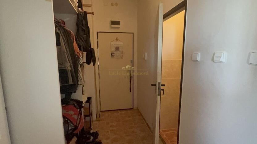 Prodej bytu 2+kk, Praha - Vinohrady, Hollarovo náměstí, 37 m2