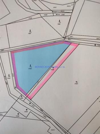 Prodej lesa, Rasošky, 5127 m2