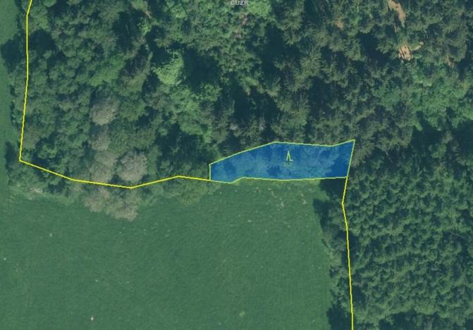 Prodej lesa, Rozvadov - Nové Domky, 5912 m2
