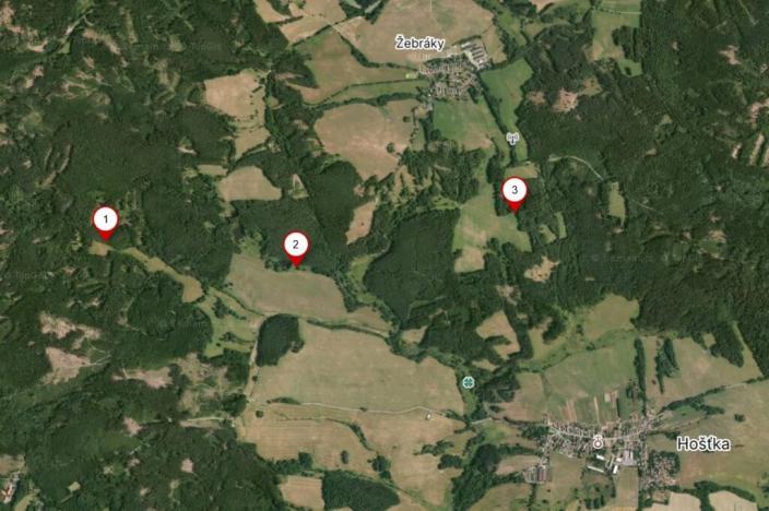 Prodej lesa, Rozvadov - Nové Domky, 5912 m2