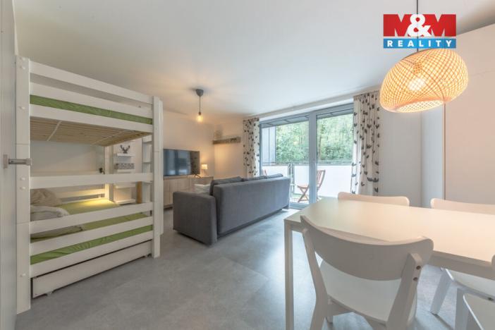 Prodej bytu 1+kk, Janov nad Nisou, 29 m2