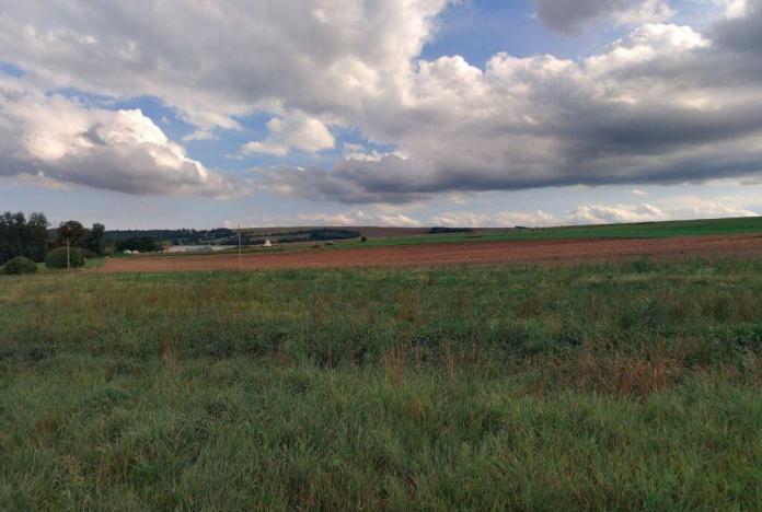 Prodej pole, Otovice, 26263 m2