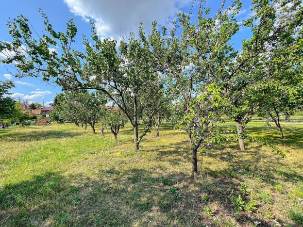 Prodej vícegeneračního domu, Ořechov, Komenského, 349 m2