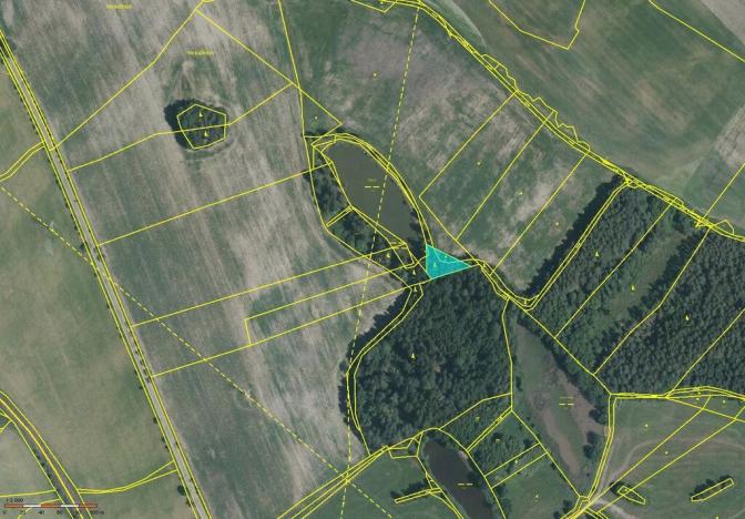 Prodej louky, Jindřichův Hradec - Děbolín, 54908 m2