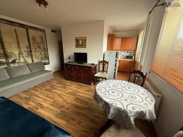 Pronájem bytu 1+kk, Most, K. H. Borovského, 26 m2