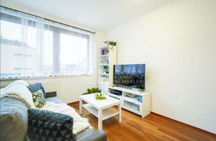 Pronájem bytu 2+kk, Praha - Vysočany, Podnádražní, 64 m2