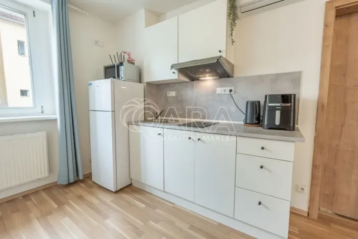 Pronájem bytu 1+kk, Praha - Smíchov, Radlická, 26 m2