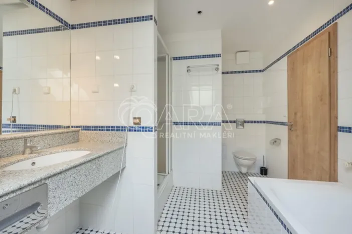 Pronájem bytu 1+kk, Praha - Smíchov, Radlická, 26 m2