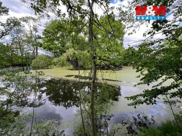 Prodej rybníku, Žulová, 7142 m2