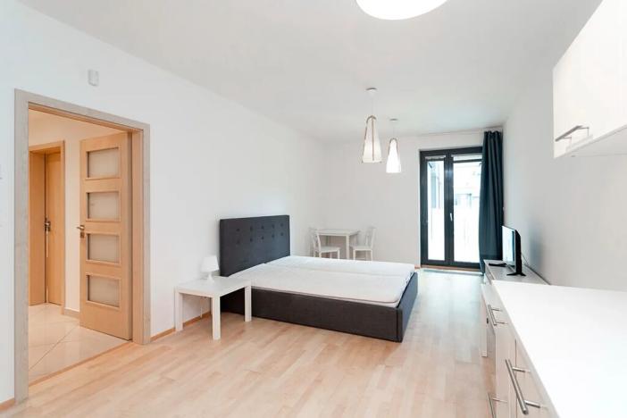 Pronájem bytu 1+kk, Praha - Žižkov, Olšanská, 43 m2