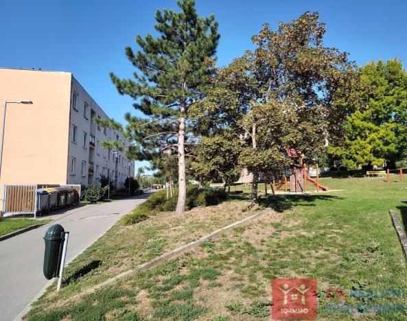 Prodej bytu 1+kk, Znojmo, Družstevní, 29 m2