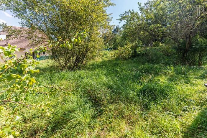 Prodej rodinného domu, Konice, 300 m2