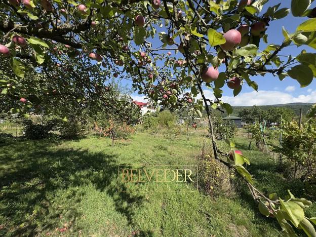 Prodej zahrady, Dubí, B. Němcové, 312 m2