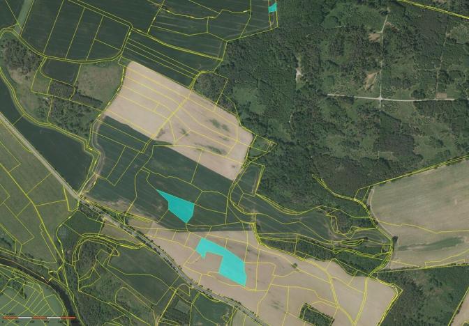 Prodej pole, Střelské Hoštice, 54215 m2