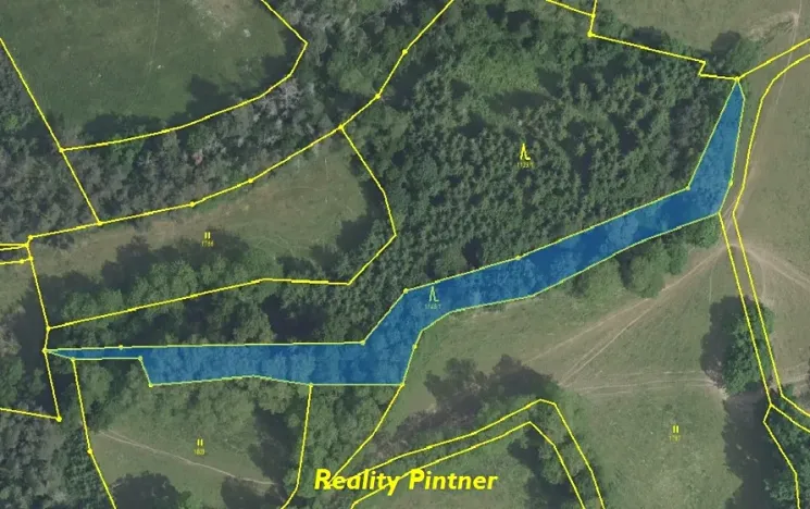 Prodej lesa, Svatý Jan, 11743 m2