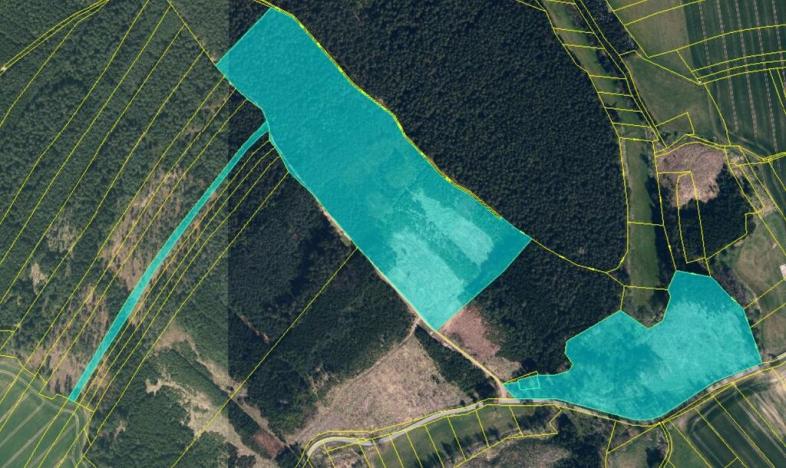 Prodej lesa, Vlčeves, 250236 m2