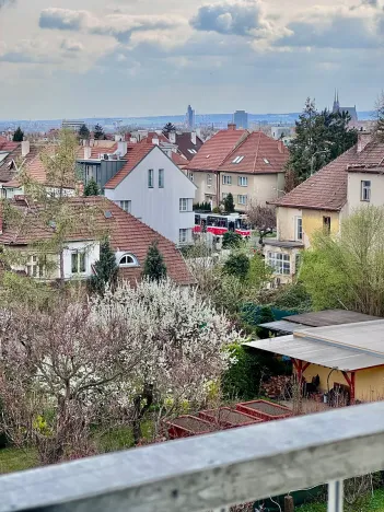 Prodej bytu 2+1, Brno, Zemědělská, 50 m2