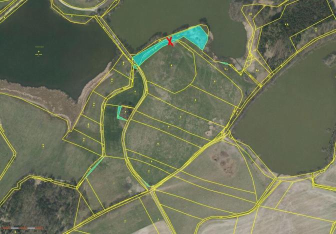 Prodej pole, Čejetice - Mladějovice, 1760 m2