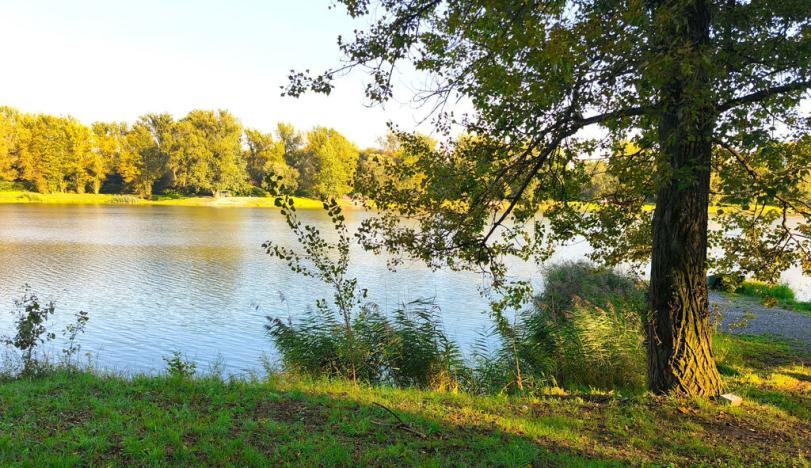 Prodej louky, Ostrava - Koblov, Hřbitovní, 1691 m2
