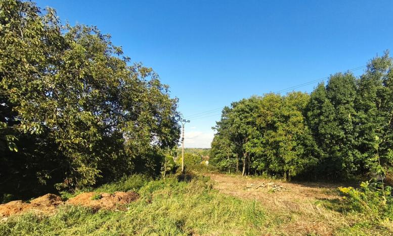 Prodej louky, Ostrava - Koblov, Výklopná, 5944 m2