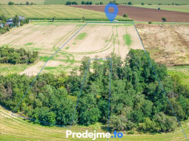 Prodej pozemku pro bydlení, Dyje, 9718 m2