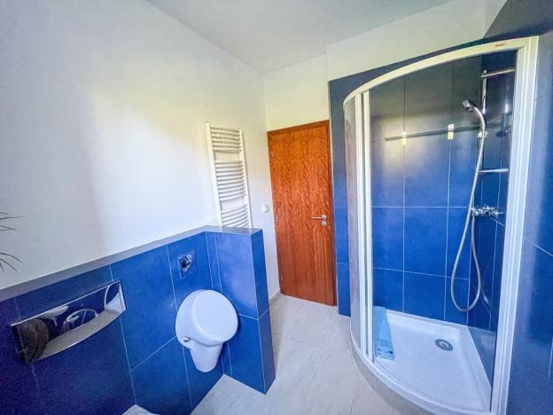 Pronájem rodinného domu, Statenice, 280 m2