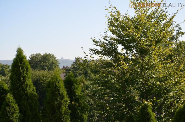 Pronájem bytu 5+1, Olomouc, Chválkovická, 147 m2