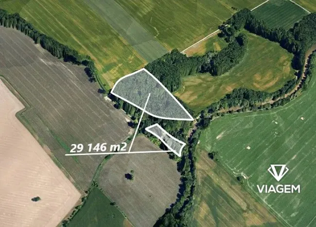 Prodej lesa, Opava, 29146 m2