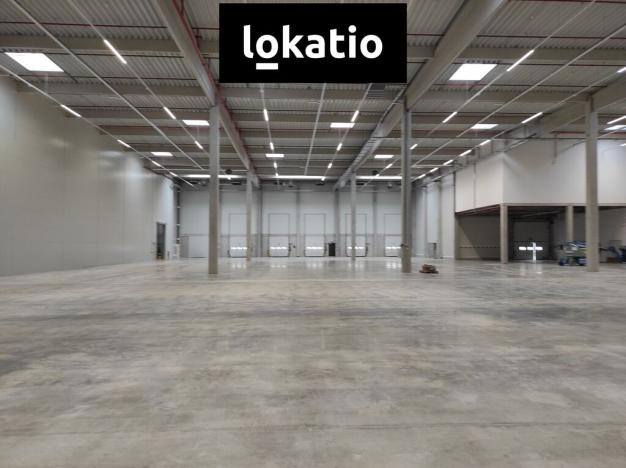 Pronájem skladu, Kozomín, 3858 m2