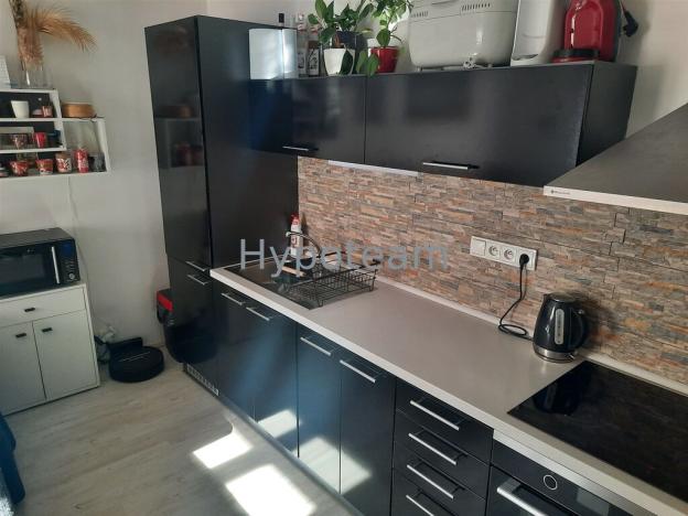 Prodej bytu 2+kk, Ústí nad Labem - Klíše, Klíšská, 47 m2