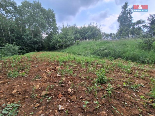 Prodej pozemku pro bydlení, Třebařov, 2559 m2