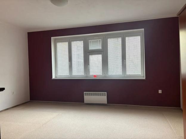 Prodej bytu 5+kk, Plzeň, Na Belánce, 166 m2