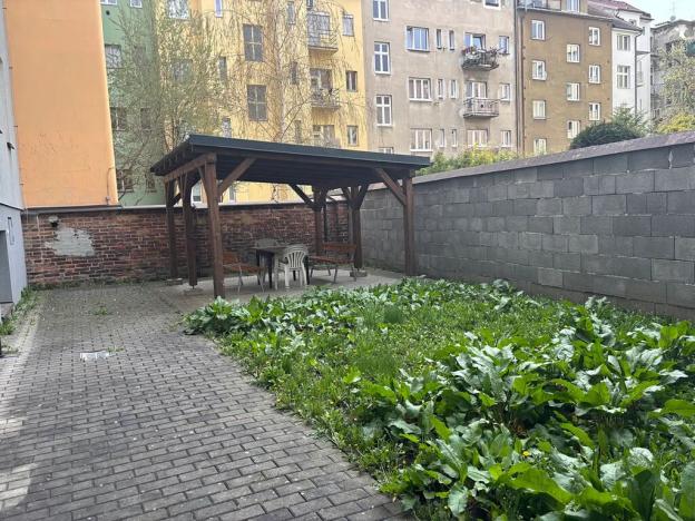 Prodej bytu 5+kk, Plzeň, Na Belánce, 166 m2